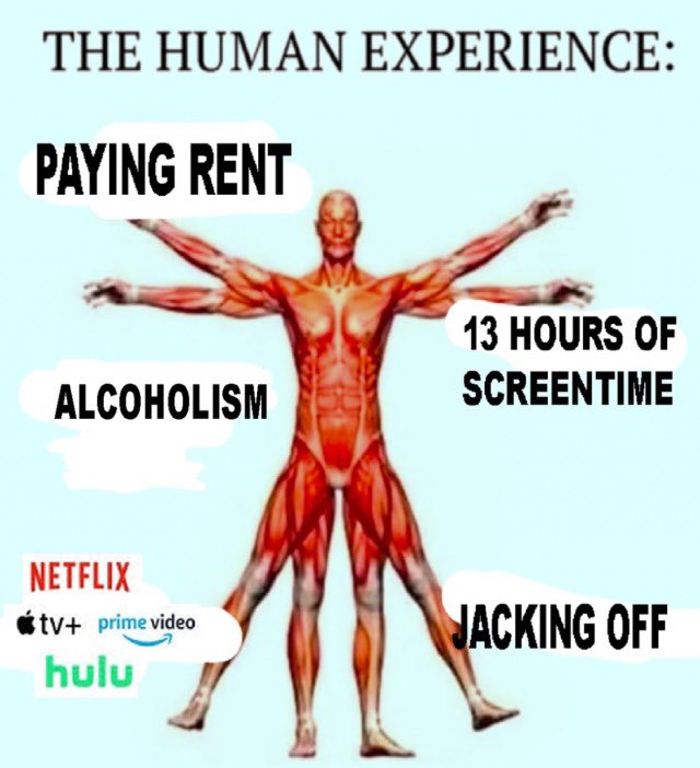 human experience