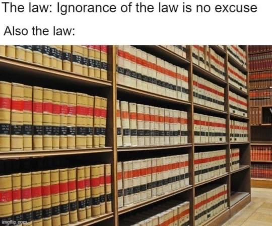 the law